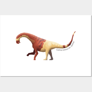 Camarasaurus lentus Posters and Art